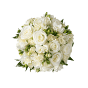 Wedding Wear & Accessories