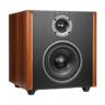 Loudspeakers & Subwoofers