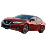 Maxima