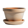 Tukunyar ajiye Shuka