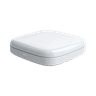 Access Point