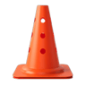 Training Cones