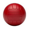 Volleyballs