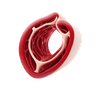 Cholesterol Support Supplements